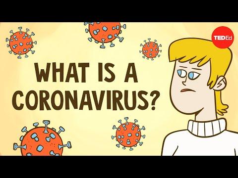 SARS & Other Coronaviruses