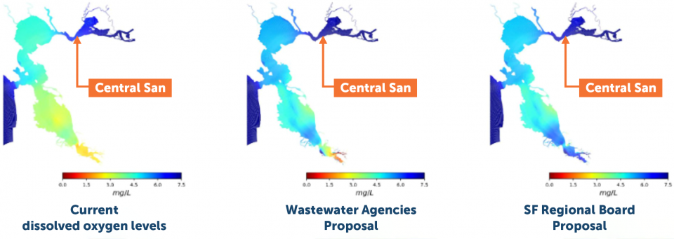 Temperature map showing the dissolved oxygen levels throughout the Bay