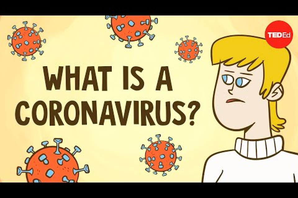 SARS & Other Coronaviruses