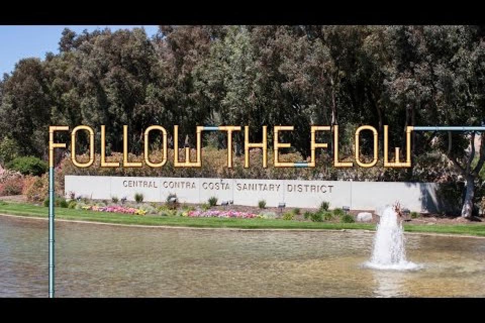 Follow the Flow